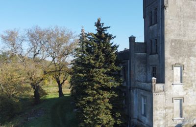 Castle for sale Górki Dąbskie, Pałac w Górkach Dąbskich, Kuyavia-Pomerania, Tower