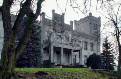 Castle for sale Górki Dąbskie, Pałac w Górkach Dąbskich, Kuyavia-Pomerania, Photo 21/22