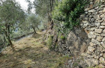 Country home for sale Pontedassio, Liguria, Photo 11/25