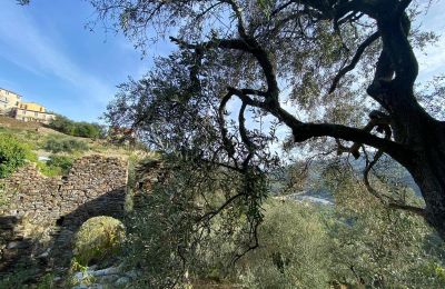 Country home for sale Pontedassio, Liguria, Photo 16/25