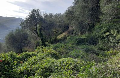 Country home for sale Pontedassio, Liguria, Photo 17/25