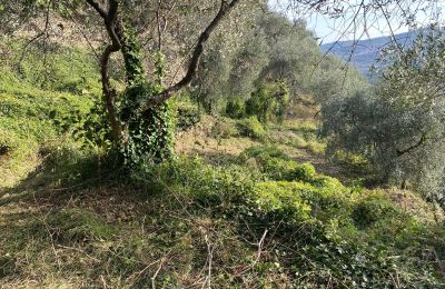 Country home for sale Pontedassio, Liguria, Photo 18/25