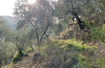 Country home for sale Pontedassio, Liguria, Photo 19/25