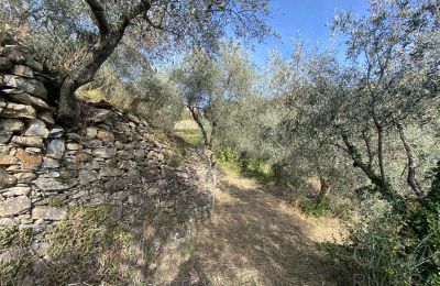 Country home for sale Pontedassio, Liguria, Photo 20/25
