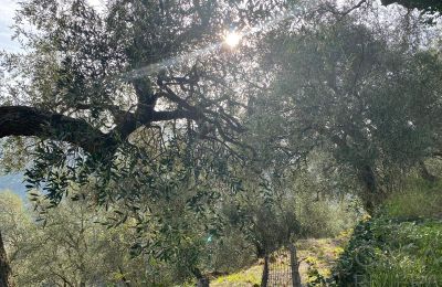 Country home for sale Pontedassio, Liguria, Photo 22/25