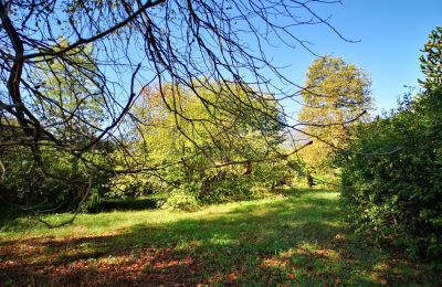 Manor House for sale Bagnères-de-Luchon, Occitania, Photo 16/18