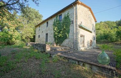 Historic property for sale 06014 Montone, Umbria, Photo 14/35