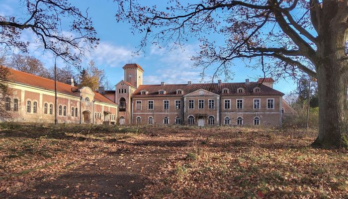 Castle for sale Dobrocin, Warmia-Masuria,  Poland