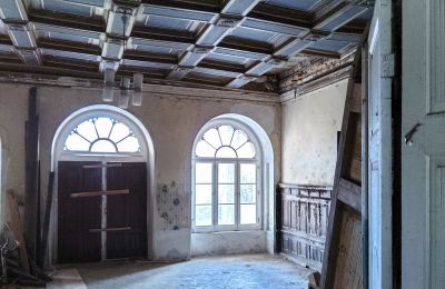 Castle for sale Dobrocin, Pałac w Dobrocinie, Warmia-Masuria, Entrance Hall