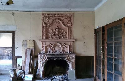 Castle for sale Dobrocin, Pałac w Dobrocinie, Warmia-Masuria, Fireplace