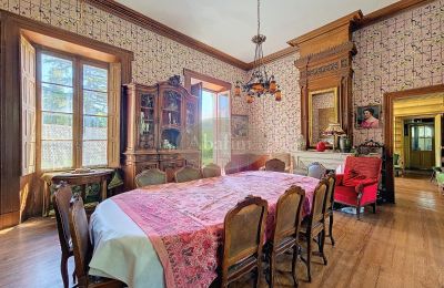 Manor House for sale Nestier, Occitania, Photo 4/28