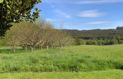 Country home for sale Moeche, Sta Cruz de Moeche, Galicia, Property