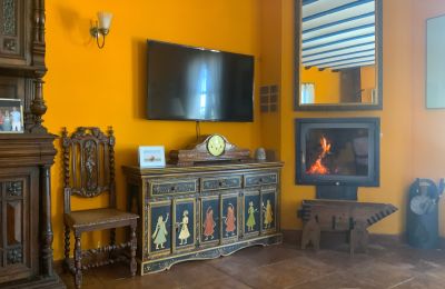 Country home for sale Almagro, Almagro, Castile-La Mancha, Living Area