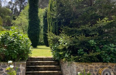Country home for sale Xove, Acevedo, Galicia, Jardín