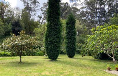 Country home for sale Xove, Acevedo, Galicia, Garden