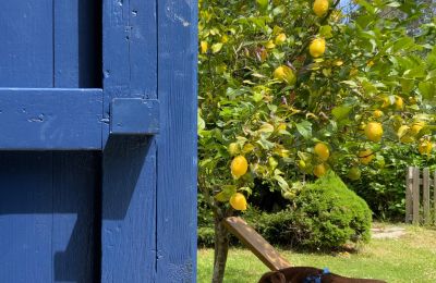 Country home for sale Xove, Acevedo, Galicia, Jardín
