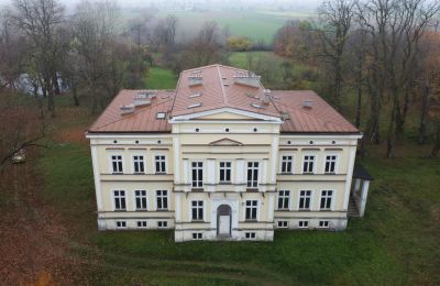 Castle for sale Karszew, Greater Poland, Photo 6/19