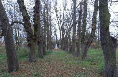Castle for sale Karszew, Greater Poland, Access