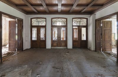 Dobrowo Manor: Open Tender, Entrance Hall
