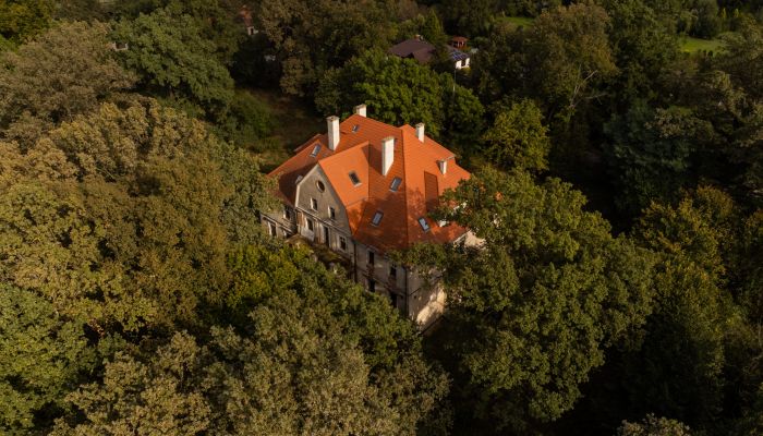 Castle for sale Wilków, Opole Region,  Poland