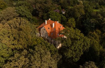 Character Properties, Castle in Wilków near Wrocław, Opole region