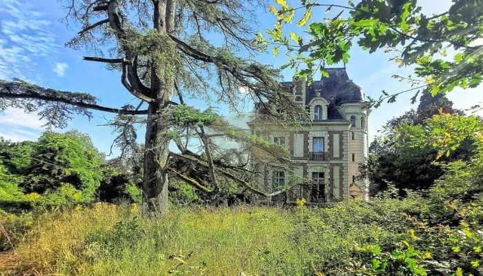 Château near Le Mans, 19,77 acres