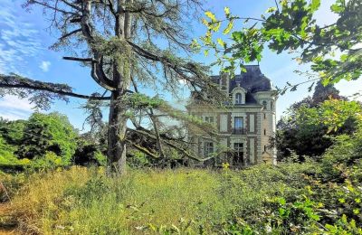 Historic estates, Château near Le Mans, 19,77 acres