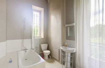 Castle for sale Le Mans, Pays de la Loire, Photo 10/13
