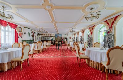 Castle for sale Krupski Młyn, Silesia, Photo 3/21