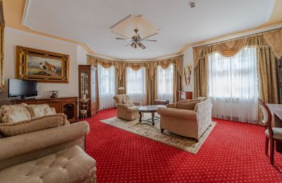 Castle for sale Krupski Młyn, Silesia, Photo 9/21