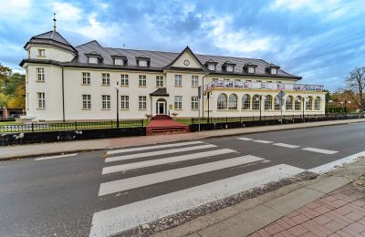 Castle for sale Krupski Młyn, Silesia, Photo 18/21