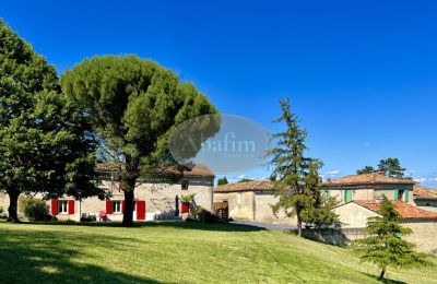 Character Properties, 1000 acre estate near Castres, Tarn