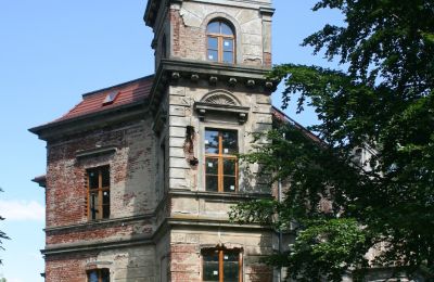 Manor House for sale Pisarzowice, Lower Silesia, Tower
