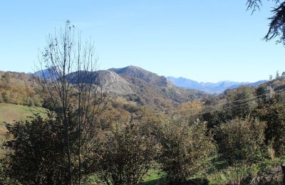 Manor house for sale Parres, Asturias, View