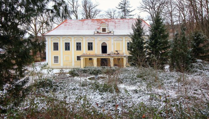 Baroque chateau in western Bohemia for sale