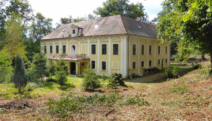 Castle for sale Plzeňský kraj, okres Klatovy, Klatovy,  Czech Republic