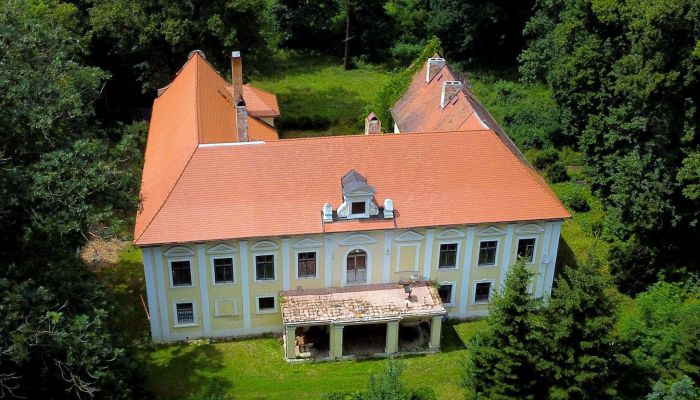 Castle for sale okres Klatovy, Klatovy,  Czech Republic