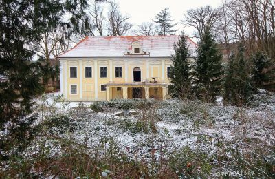 Castle for sale Plzeňský kraj, okres Klatovy, Klatovy, Plzeňský kraj, Palace Garden