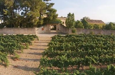 Castle for sale Santa Oliva, Catalonia, Photo 6/19