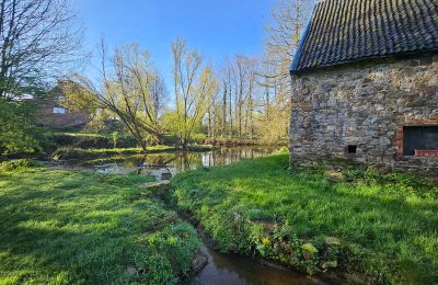 Castle for sale Astenet, Wallonia, Weiher mit Insel ( ideal für Hochzeitzermonien)