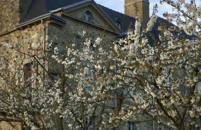 Manor House for sale Pléneuf-Val-André, Le Tertre Rogon, Brittany, Photo 23/26