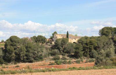 Manor House for sale Vila-rodona, Catalonia, Photo 4/37