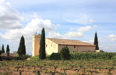 Manor House for sale Vila-rodona, Catalonia, Photo 3/37