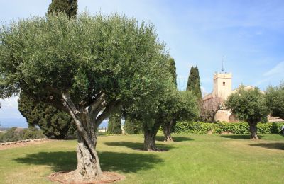 Manor House for sale Vila-rodona, Catalonia, Photo 2/37