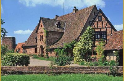 Medieval Castle for sale 67330 Dossenheim-sur-Zinsel, HUNEBOURG, Grand-Est, Photo 6/12