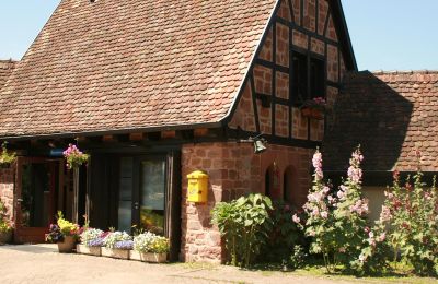 Medieval Castle for sale 67330 Dossenheim-sur-Zinsel, HUNEBOURG, Grand-Est, Photo 9/12