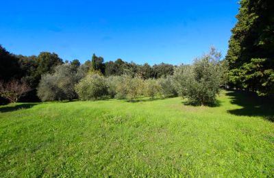 Country home for sale Montecatini Val di Cecina, Tuscany, Property