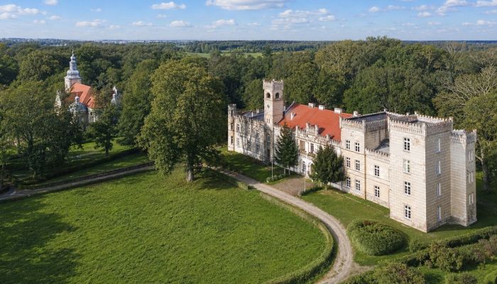 Castle for sale Gościeszyn, Greater Poland