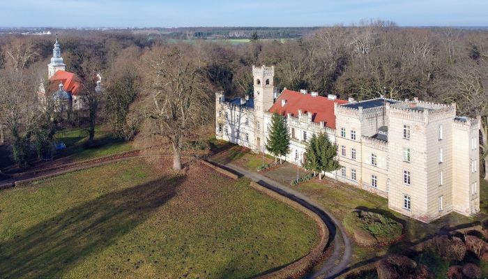 Country manor in Greater Poland near Poznań