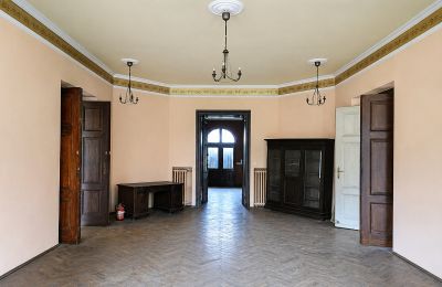 Castle for sale Gościeszyn, Pałac w Gościeszynie, Greater Poland, Photo 7/15